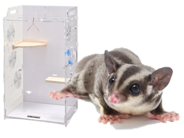 【商品】いつでも丸見え！なアクリルケージ