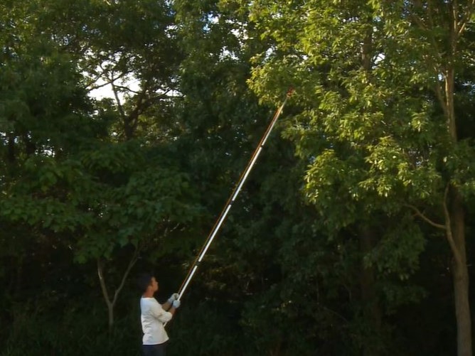 【+Movie】〈商品〉ロープ式伸縮高枝切鋏
