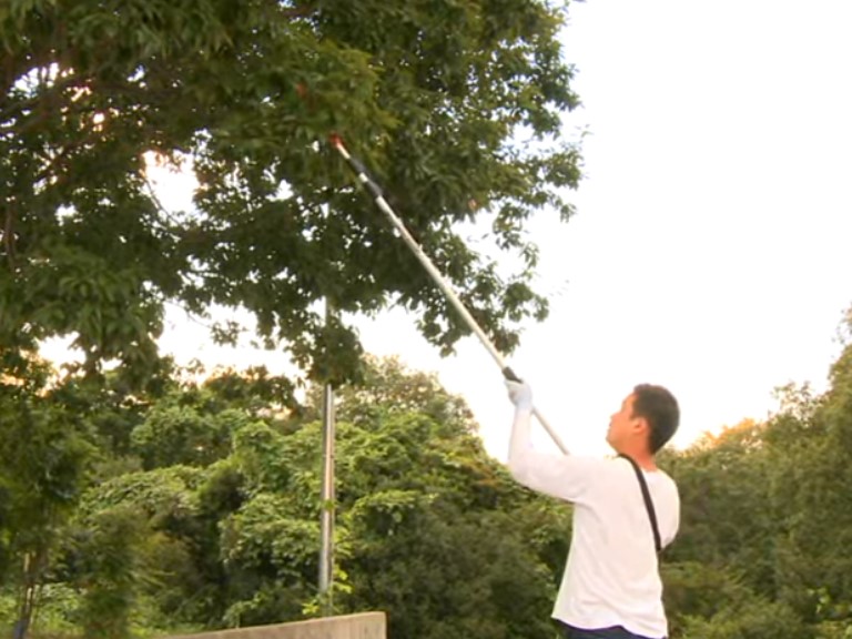 【+Movie】〈商品〉強力剪定伸縮高枝切鋏4ｍ