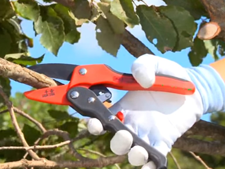 【+Movie】〈商品〉パワーラチェット剪定鋏