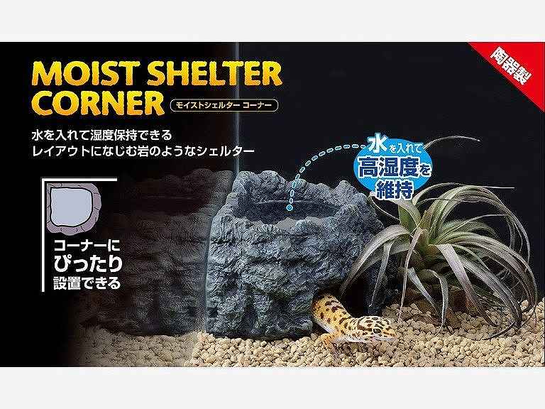 コーナーにぴったり設置できる高湿度を維持する陶器製シェルター
