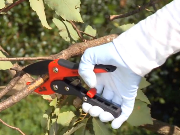 【+Movie】〈商品〉レディースラチェット剪定鋏